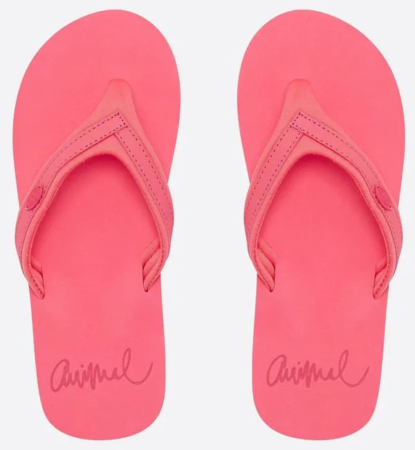 Animal Womens Swish Slim Block Flip Flops  - Calypso Coral Red